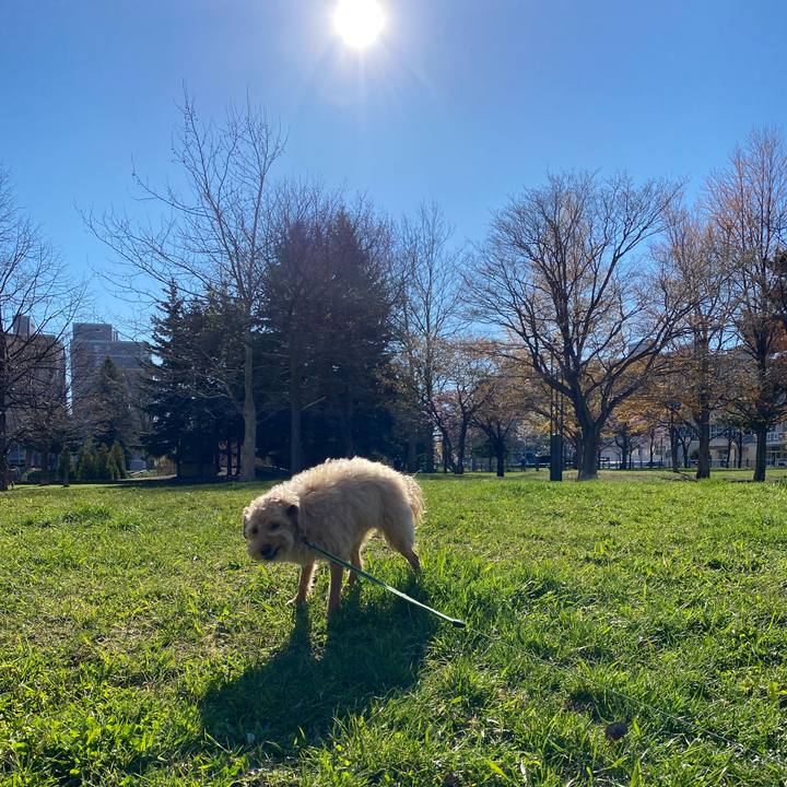 2395d237 dede 4ef6 a636 d4695f295124 1619391589058