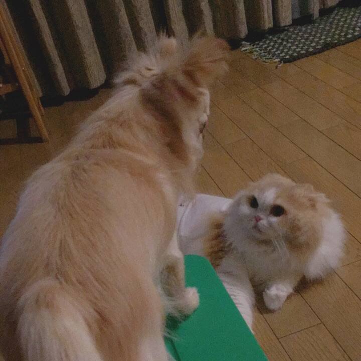 2395d521 d189 416a 9cd4 e4f04a35ce71 1567290924265