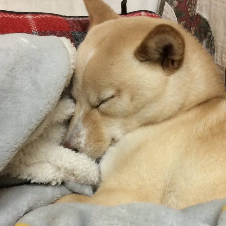 239623bf c43d 47bb b8e4 3045328ae6c3 1515764693110