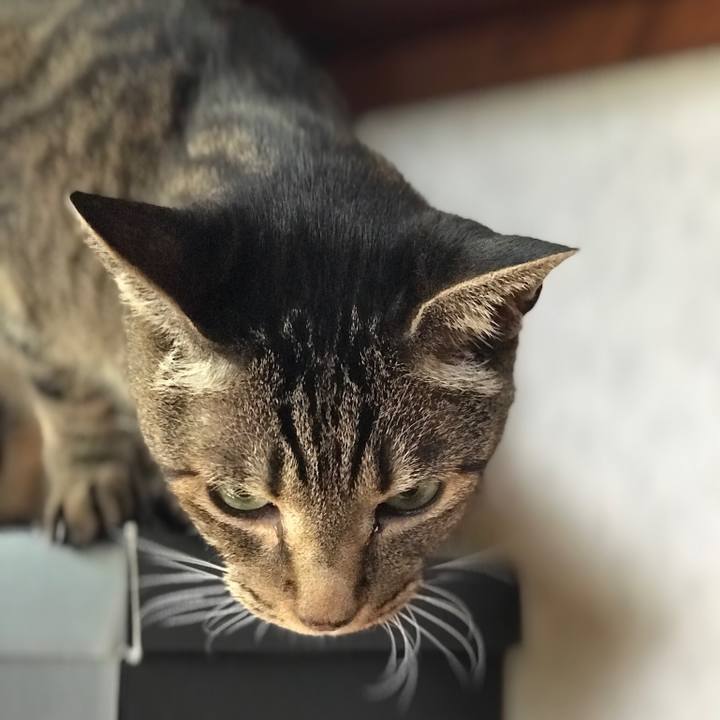 2396543c a1be 41b6 b717 35340cc3f52c 1534550250732