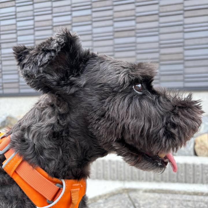 23966860 80f9 4939 a1bd 7d83b40411ef 1757197842767