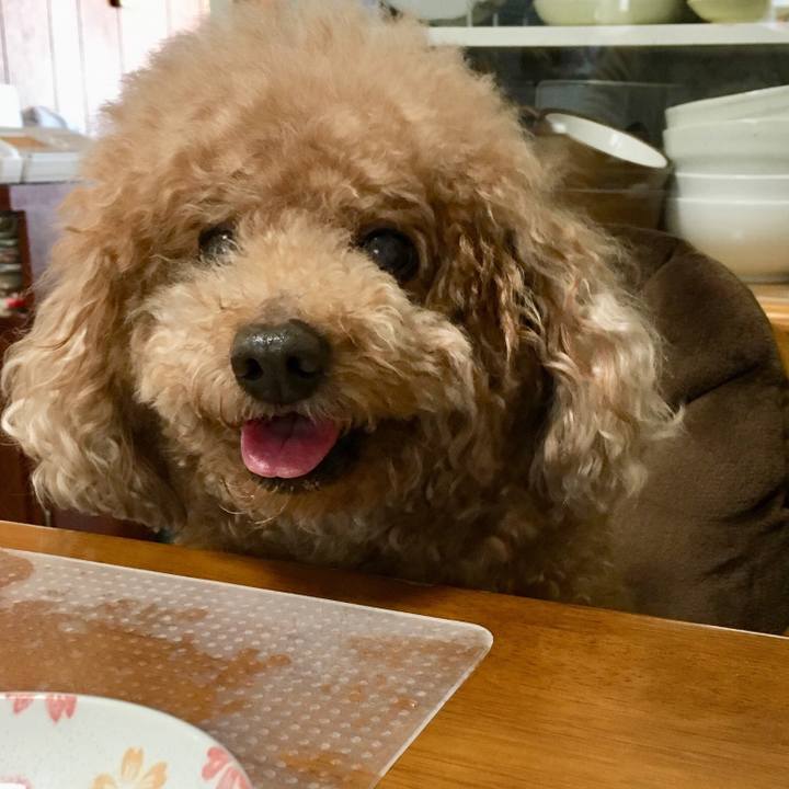 23966e20 75c0 40ad 8613 a43bda2440c4 1521172457465