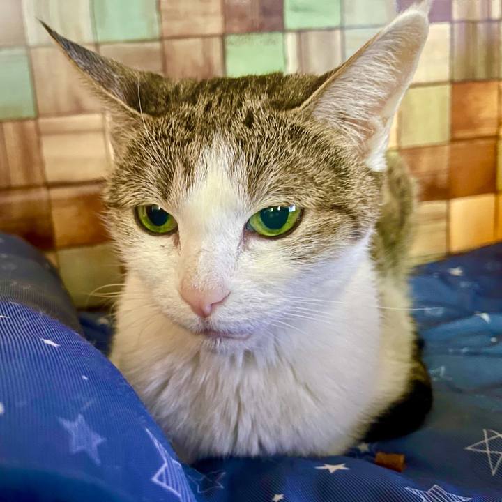 23967089 e227 4eed a3cd c60f2bdb69e2 1638746823171