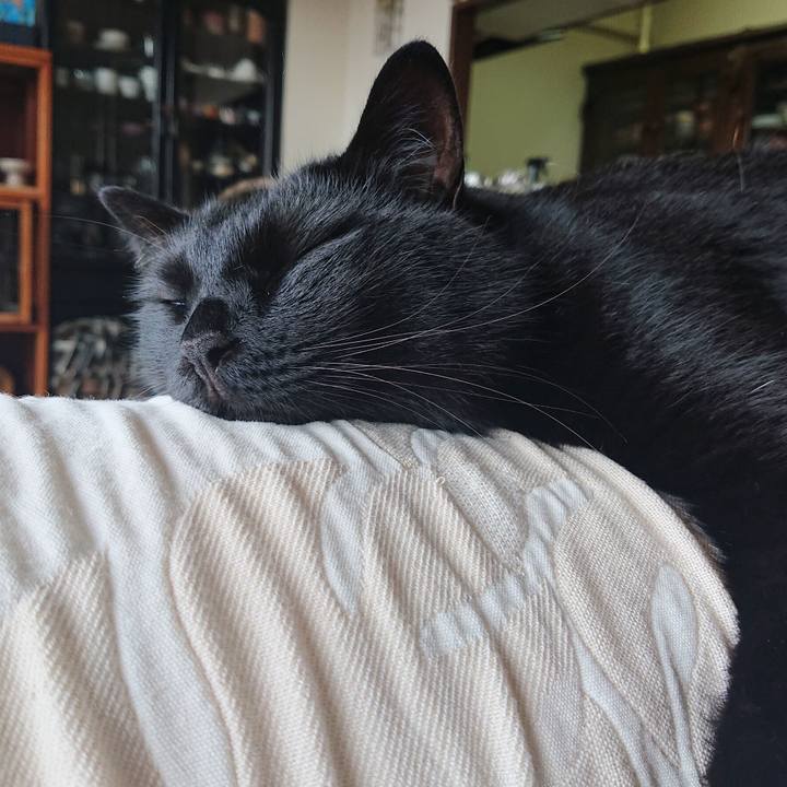 23968037 6991 4cf8 a707 ebf2c54206de 1625958475152