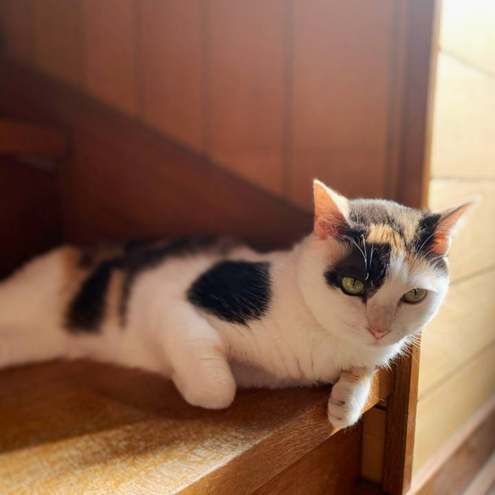 2396deb5 8378 4219 85ec b4f61deb7fe9 1597284402147