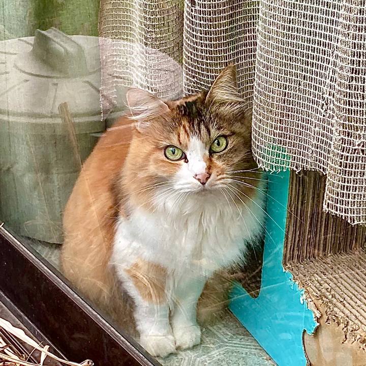 2396ea0f 148f 488b 9cd7 219ac4d58115 1634187581912