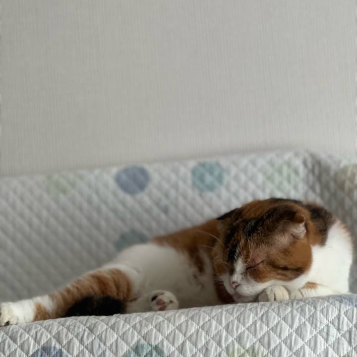 2396f328 93e8 4414 848a da6fc6965e6d 1694823477234