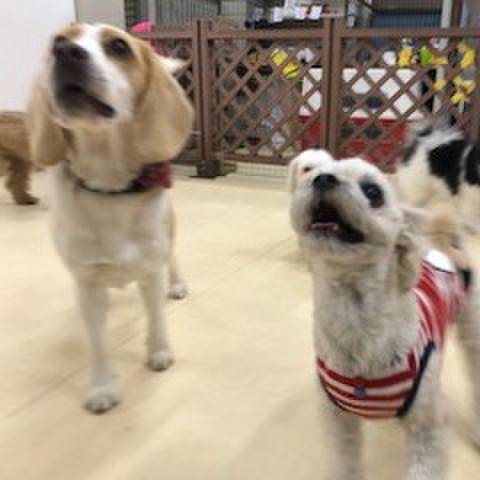 23975724 a9a6 42af 8aa7 644269fa054d 1520937430392