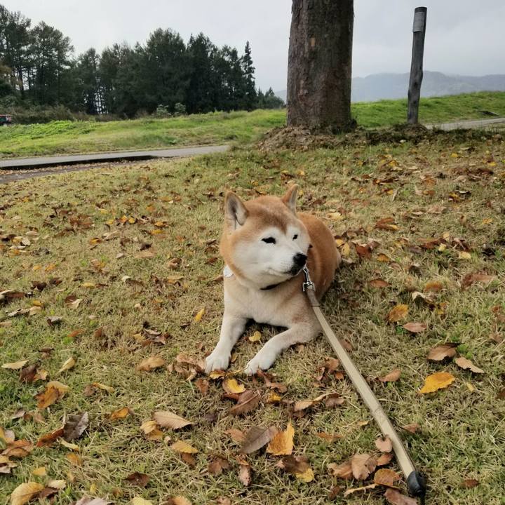 23977ce0 c5f4 40cb 9bcb 427a98d0f376 1666505328314