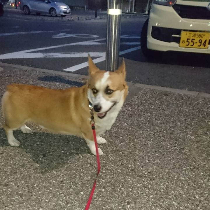 23979889 59d3 4e37 9b6a d13650c4bd2d 1608974258126