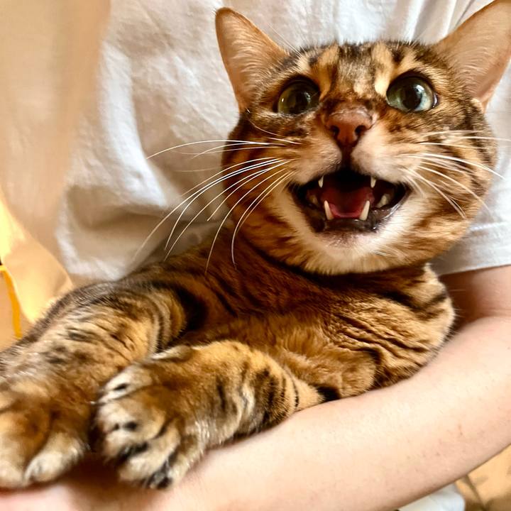 23979c3c ecfe 4a4b 9c52 52981e786144 1663039682462