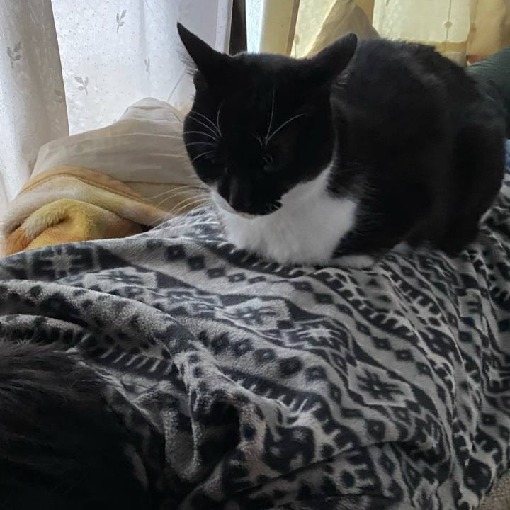 2397a302 a502 40de 9fdf 91c6b816d7fe 1676208018974