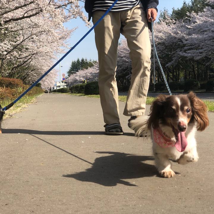 2397bc58 3cdb 447f bf53 a1a71d19f10c 1554551121784