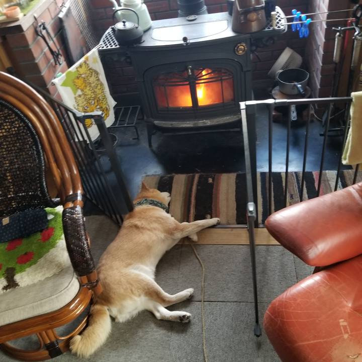 2397cc6e 420c 41dc 9422 329b5a222d7d 1707202834136