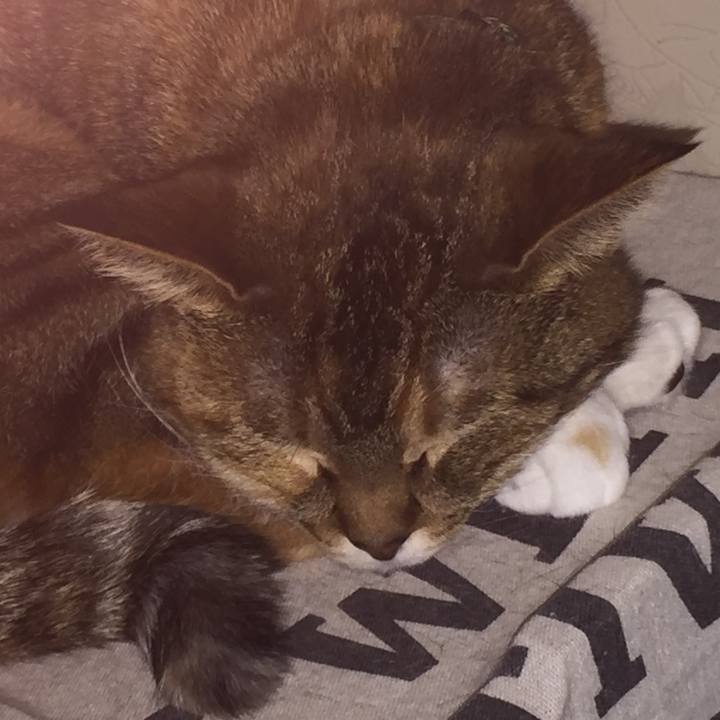 2397e463 7b6a 4e8f 938f ff36bcd95fbf 1547222683037