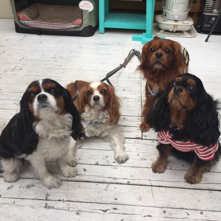 239809e8 4f62 4145 86bf 1bd49ccdce49 1525526877339