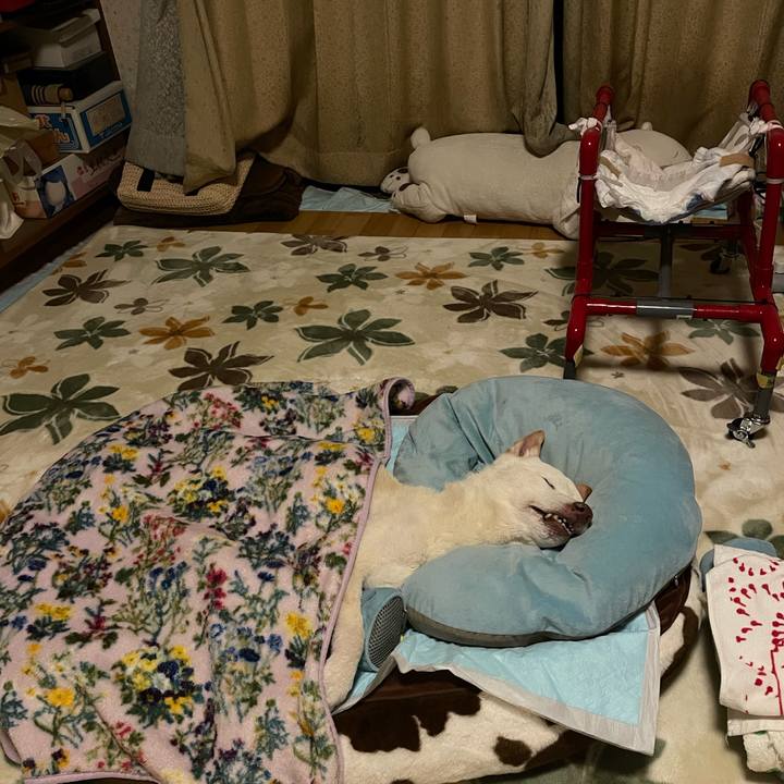 23981194 cdb1 4998 a80e 5754ba3a383e 1675694494607