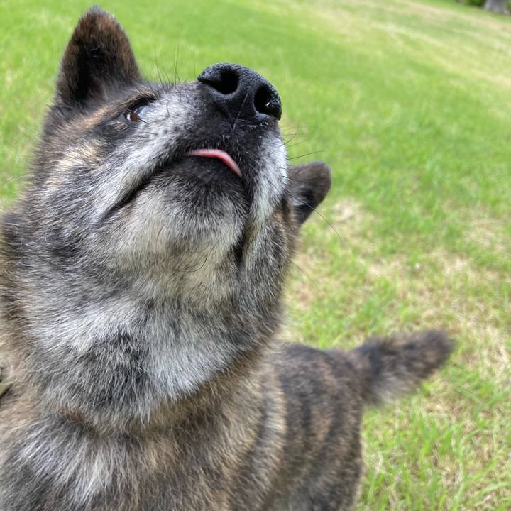 239895f8 b0f2 4b32 ad09 3d480d65c7fc 1594620758456