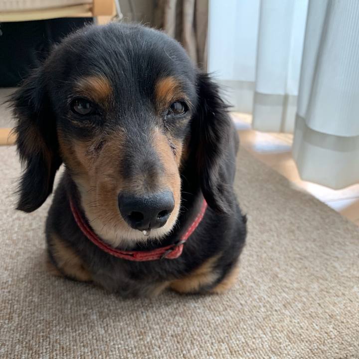 23993a17 9ced 4bff aae3 016c1cb581c0 1553297693878