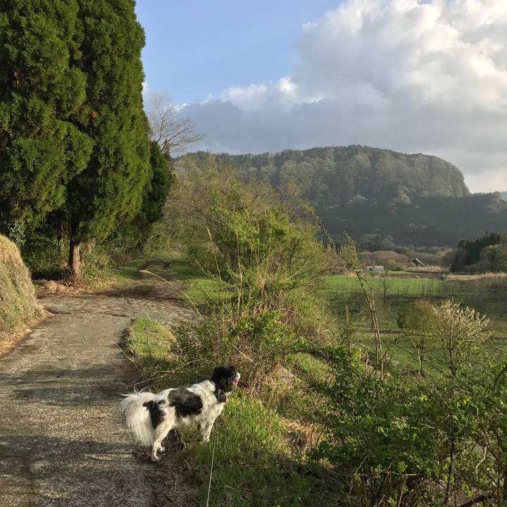 23998a29 968e 490c 8b81 4977075b24de 1523803195520