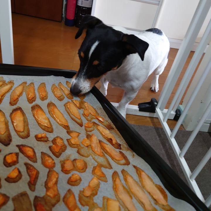 23998fd6 cbbd 4a20 abcc 59ba0ea1a939 1721969925455