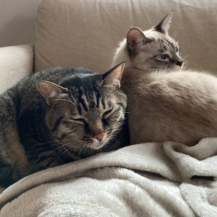 23999d8c ad96 4579 a079 f2af7db93878 1604723569701