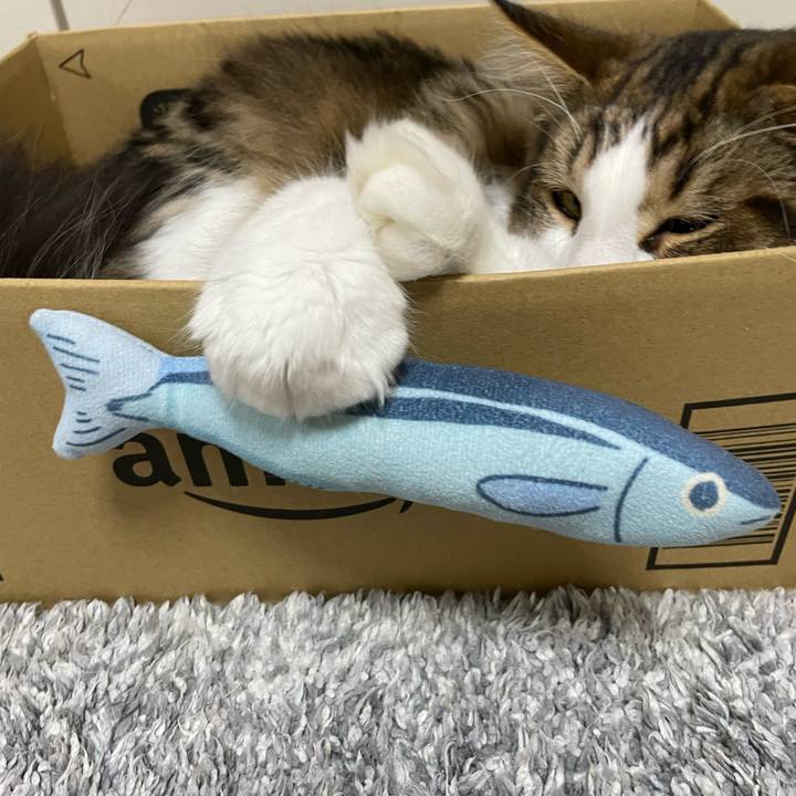 2399b41d 2392 4aae 91bd 71c3a626c7d0 1643979334612