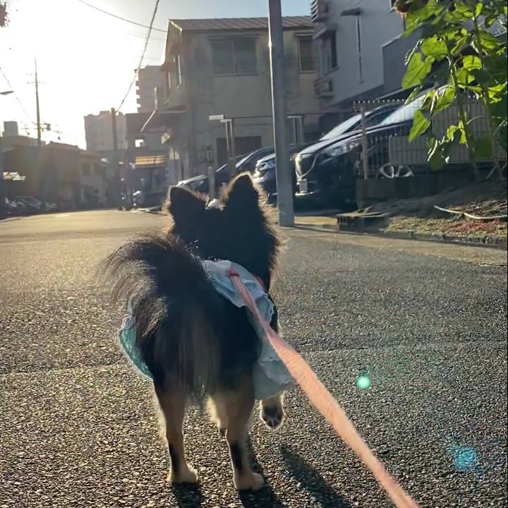 2399d2d4 62ad 486c b0d1 3268e0df4925 1629411747011