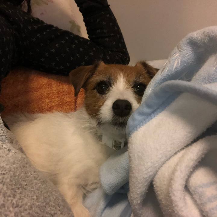 2399ebcc f9f7 457b 8cac d07052acdfd2 1583577730843