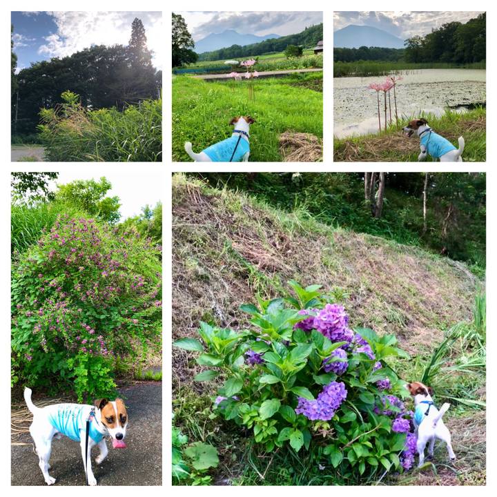 2399f420 b91b 4301 8a17 bd9af28797bc 1597053082548