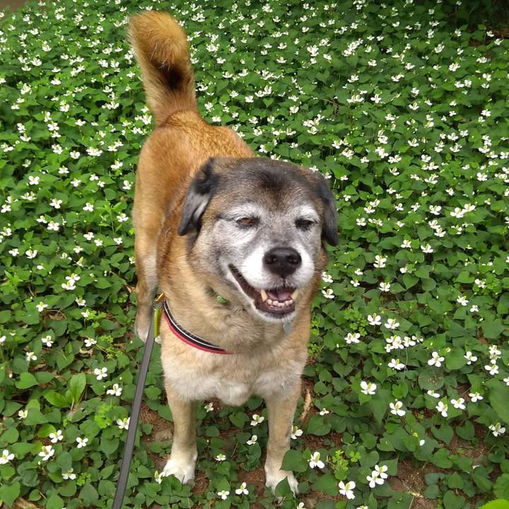 239a1dba 38ce 4f1c 839f 2fbd99eb61ec 1559438477608