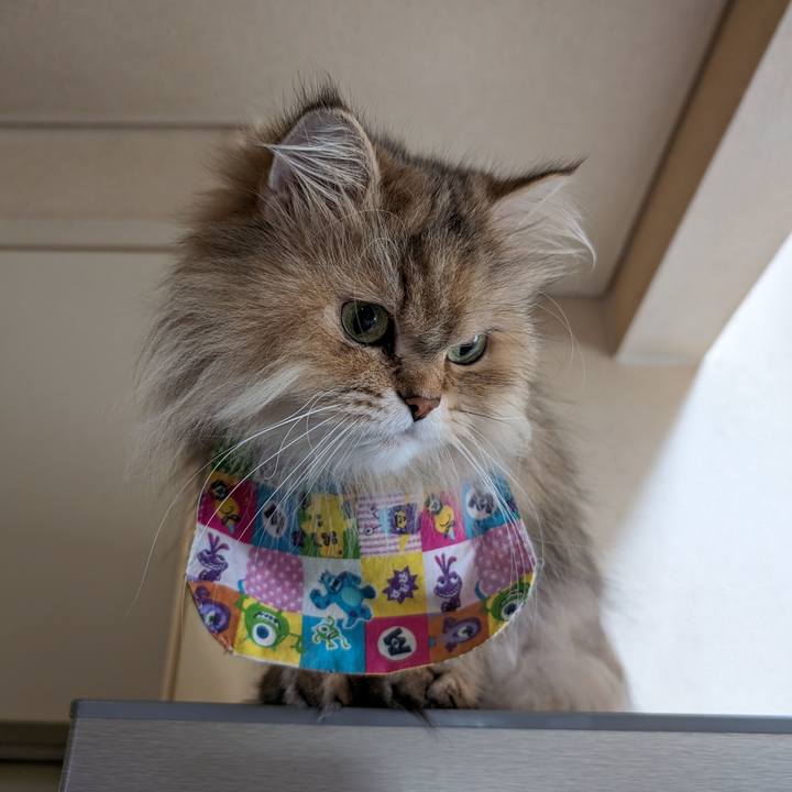 239a366b badc 452a 9b73 c5fe12f1adcd 1716444833405