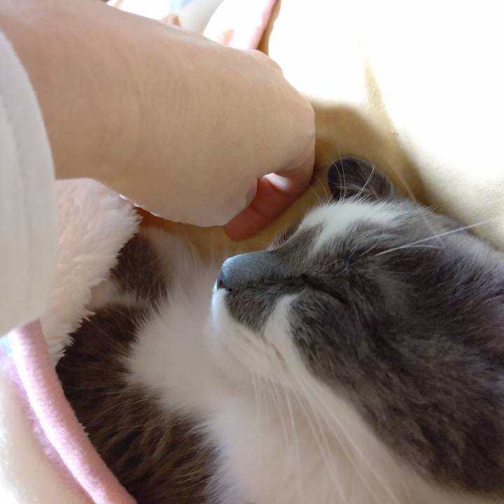 239a5309 dc31 4b00 bec4 606b29fd1b3c 1576366695915