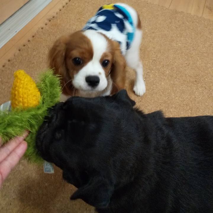 239a76a8 c8b1 4bd1 b264 d256d2b6a436 1570961695327