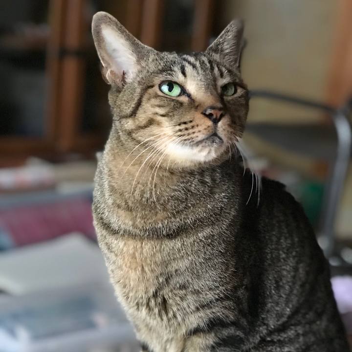 239aafc4 cb16 45d4 80c5 823aff4eca5b 1508635735046