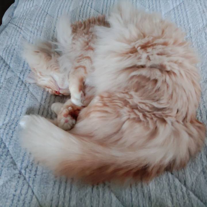 239aced8 8b84 40dd aa5b 5c3ea0ea6dbb 1716194793444