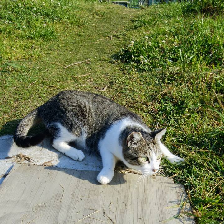 239ad148 e62a 46d7 b102 417f8abd64a5 1557704509847