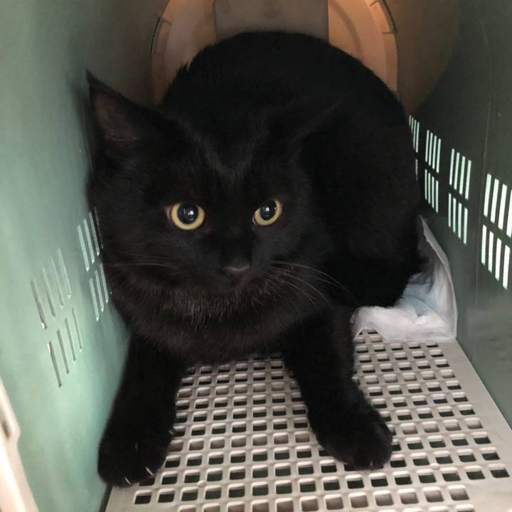 239b2d16 1718 4ae9 b8cc df79322cc06f 1520478234675