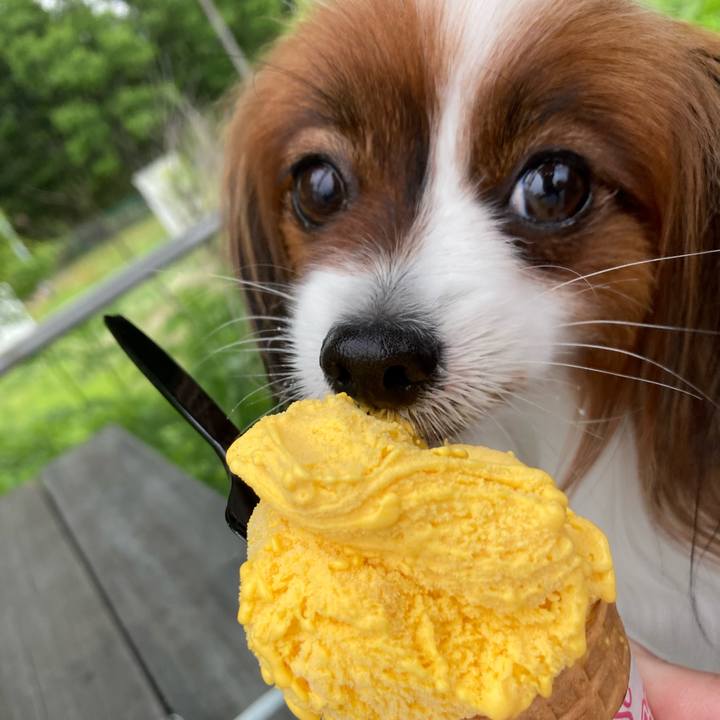 239b657b 42ab 472c a89a caa30891fb04 1686462303074