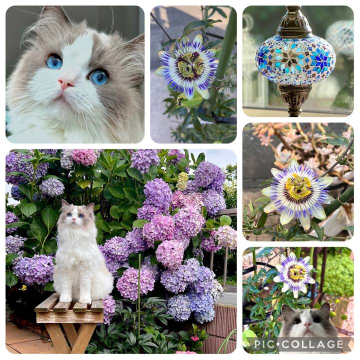 239ba1f9 eb4e 4628 b17b fdd852771185 1686903635232