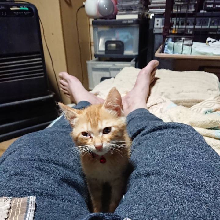 239bc593 2ec2 4b08 b2ad ff921769a96b 1629288627335