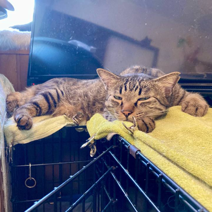 239bdb19 d3fe 49a5 8b88 7bc5201e3961 1713271298890