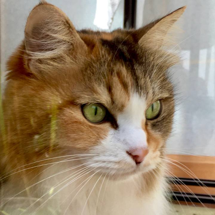 239be44c e14d 4b12 8bab 14cdc7dbe766 1571296056562