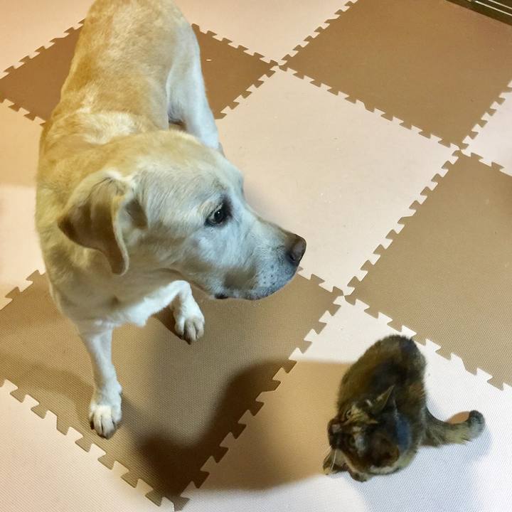 239bed06 637a 47d2 823b c80eb5b5ccdd 1589888609424