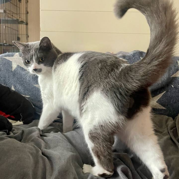 239c0e4d 004c 41f9 a570 49017a54a181 1651196577550