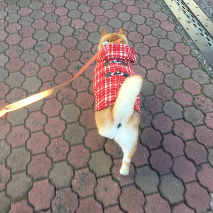 239c47fa 9fee 4780 9c93 ce198033c4c8 1546562702385