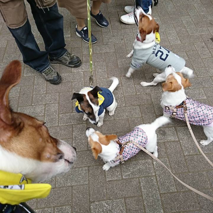 239c69b6 e8d1 4947 bd5f b17b057ca821 1523679621401