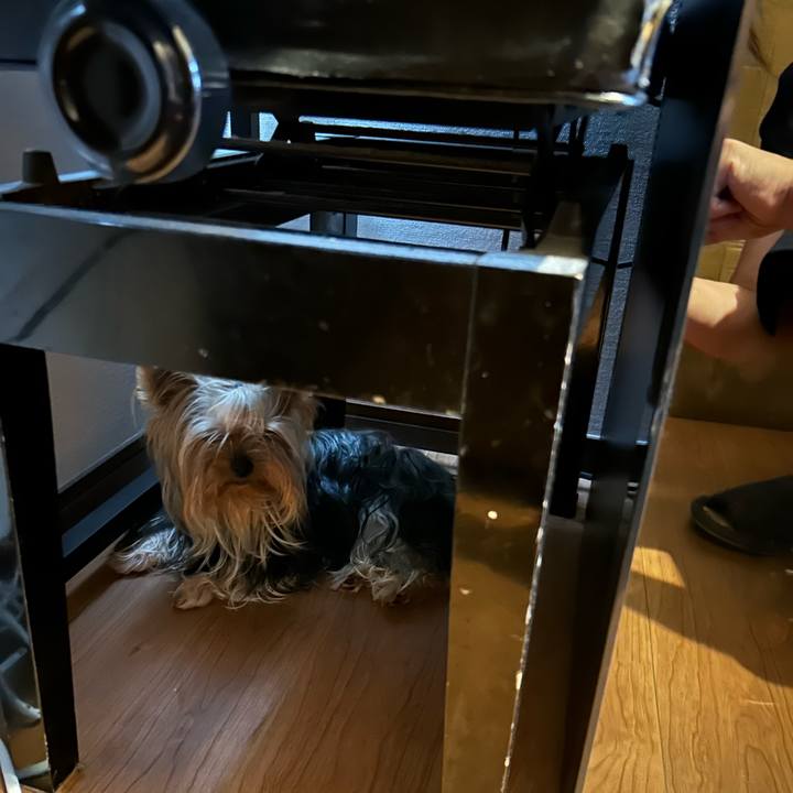 239ca3b5 672e 43a9 9c1c 3741c7b7617b 1726450984853