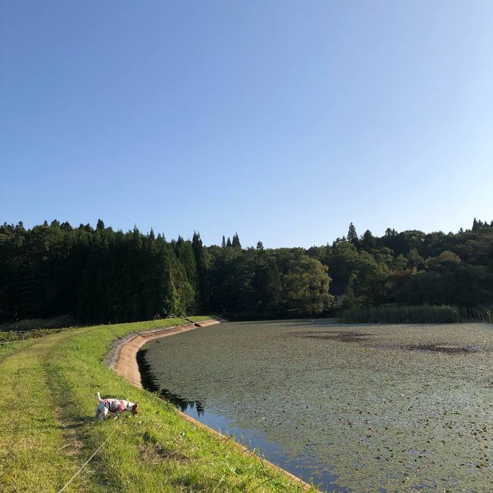 239cdf8f 2442 42ba a444 4c23e00dabc5 1601631383142