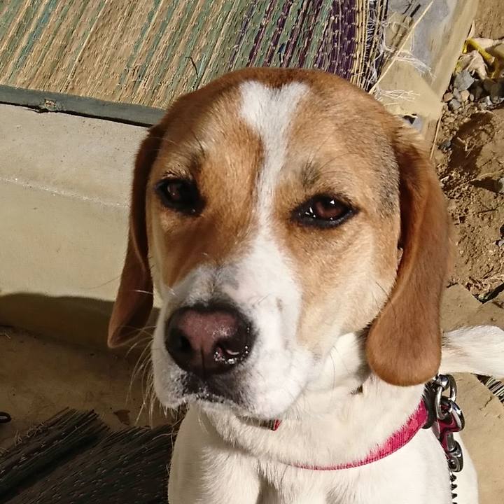 239d0681 3dd1 4735 9520 e8ce09364200 1605196090167